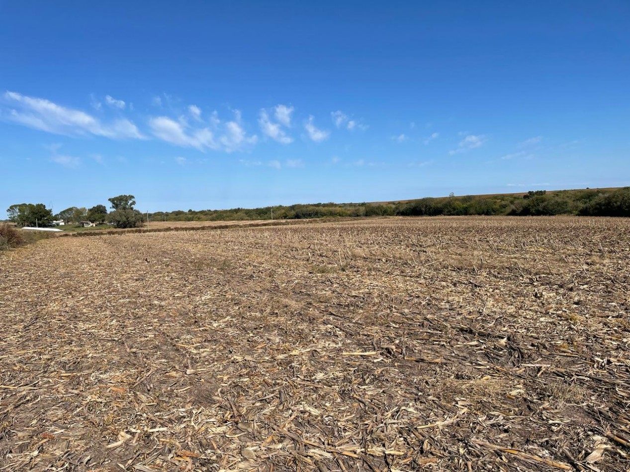 VENTA DE CAMPO EN MOLINO DOLL