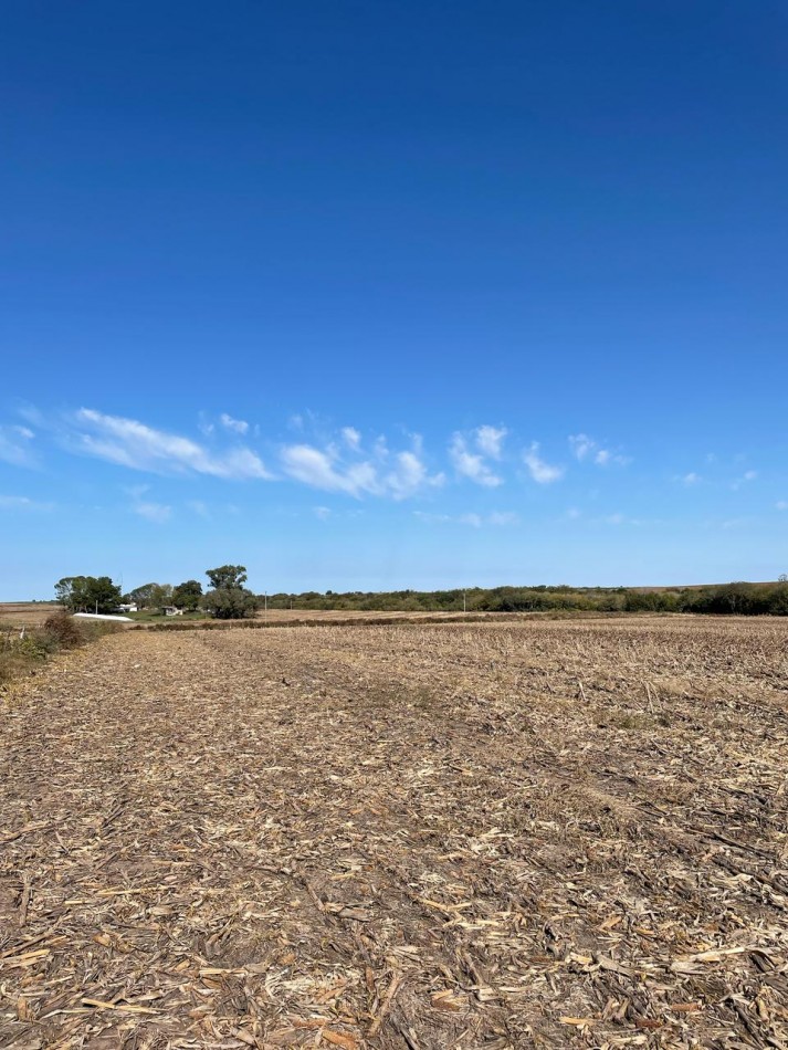 VENTA DE CAMPO EN MOLINO DOLL