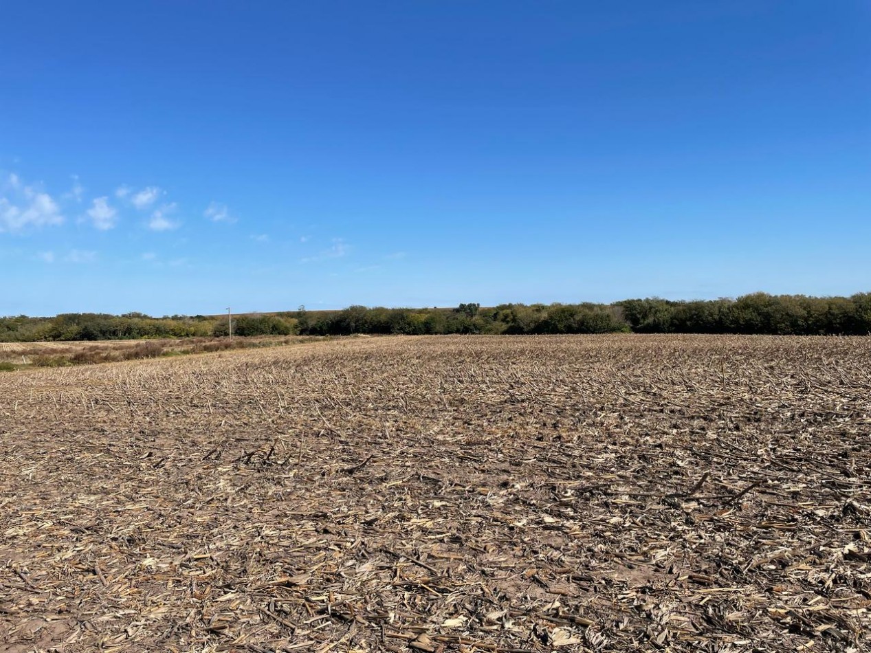 VENTA DE CAMPO EN MOLINO DOLL