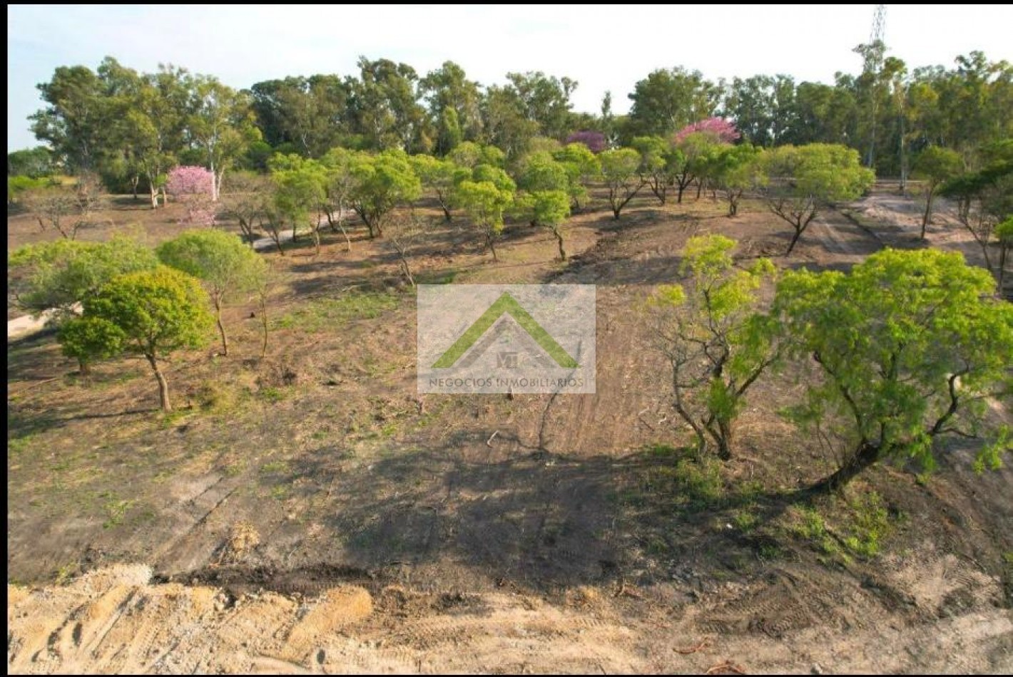 Venta de Lotes- Urbanizacion Terrazas- Blas Parera