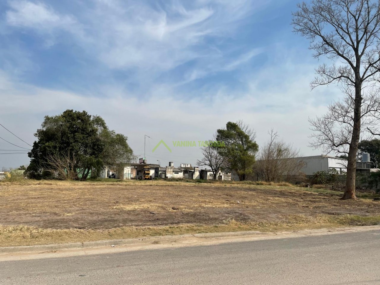 TERRENO EN COLONIA AVELLANEDA