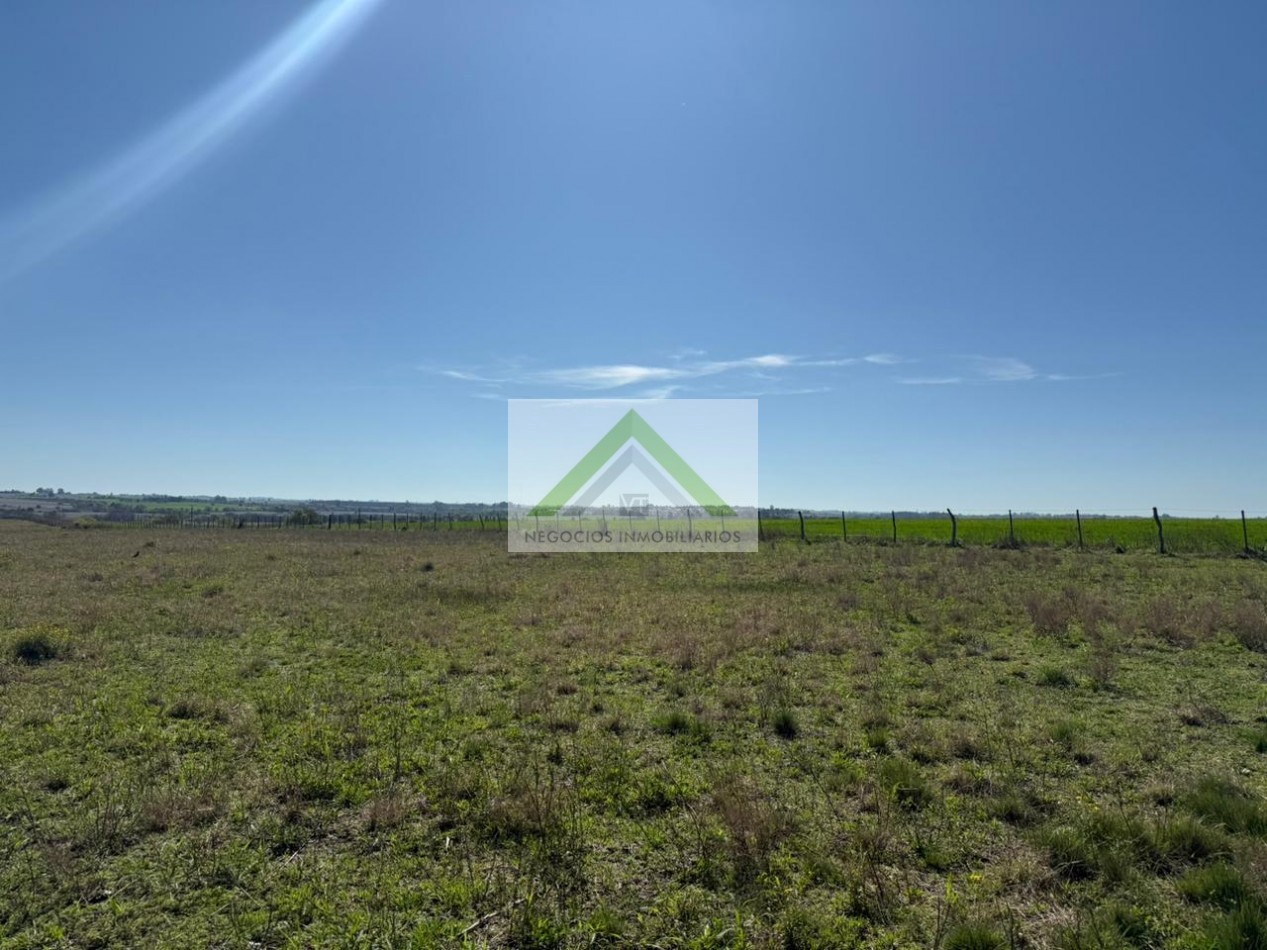 VENTA CAMPO+ CASA LIBERTADOR SAN MARTIN