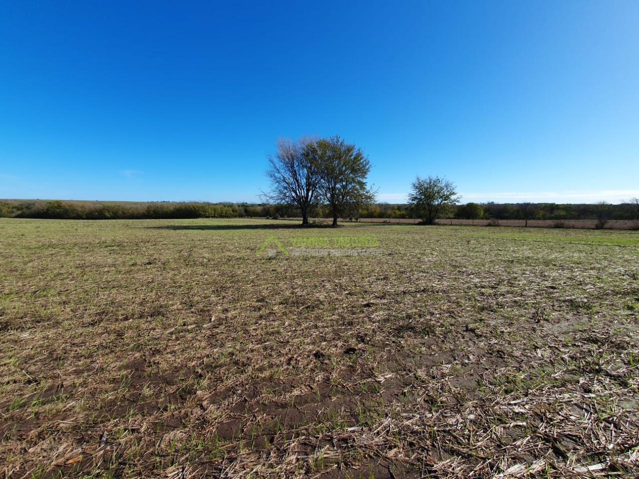 VENTA DE CAMPO EN MOLINO DOLL