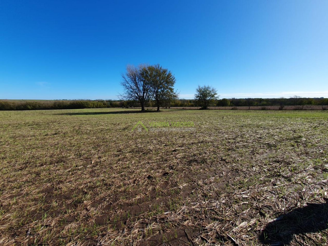 VENTA DE CAMPO EN MOLINO DOLL