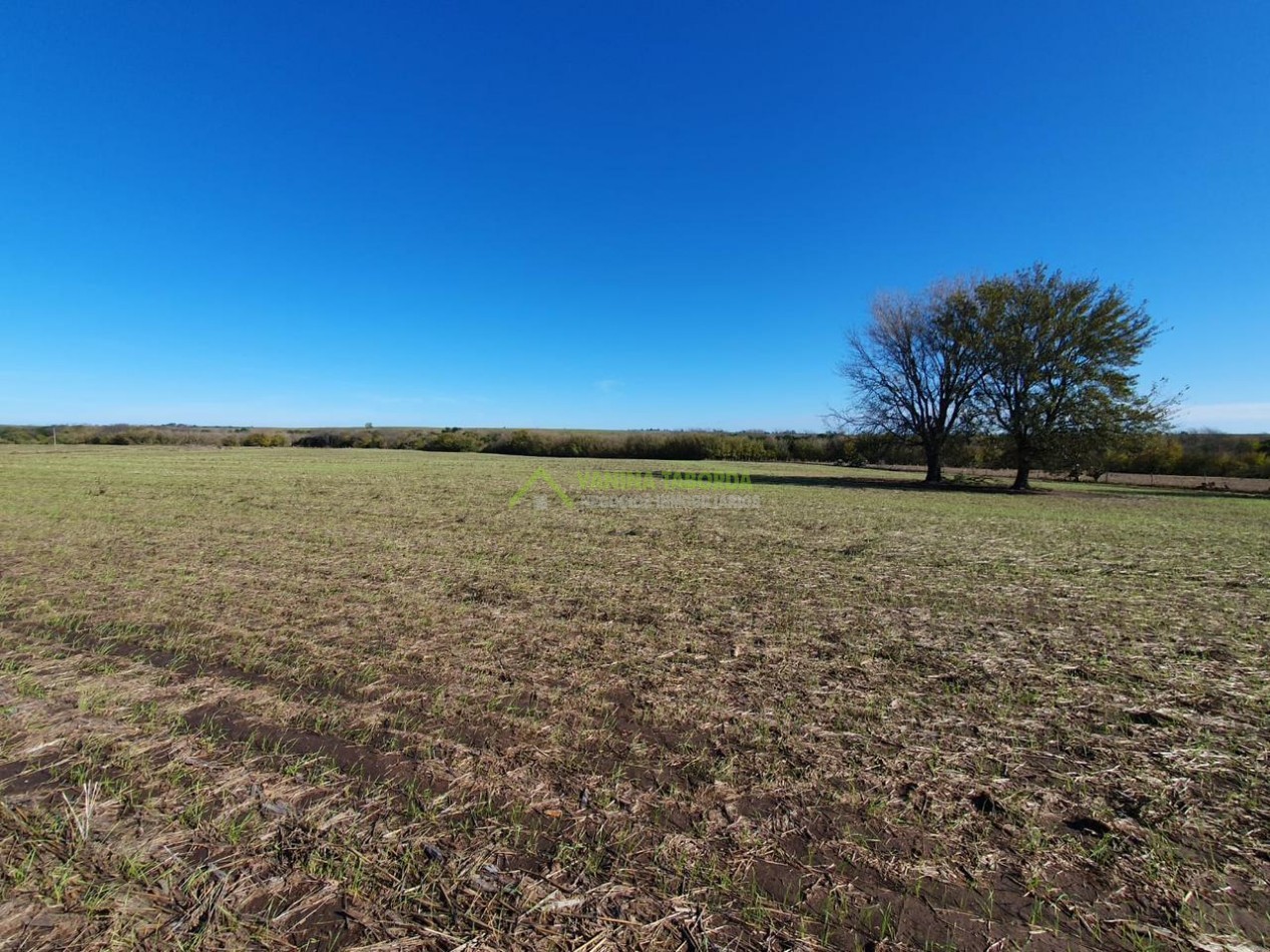 VENTA DE CAMPO EN MOLINO DOLL