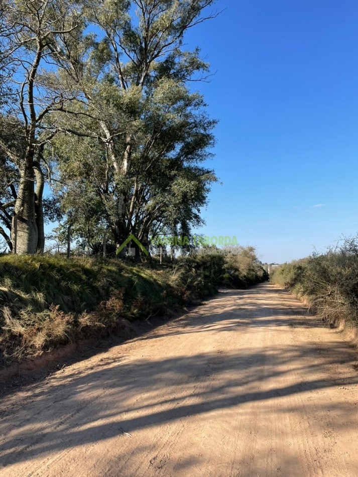 Gran terreno en Zona quintas de Diamante