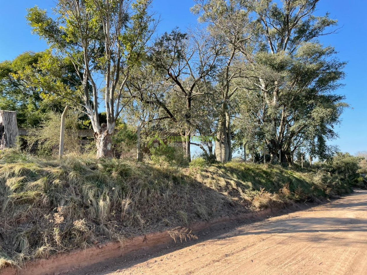 Gran terreno en Zona quintas de Diamante