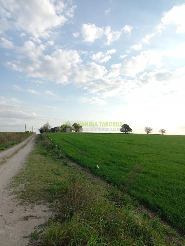 VENTA DE CAMPO EN MOLINO DOLL