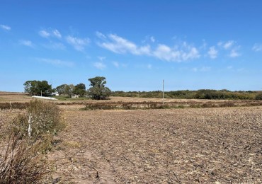 VENTA DE CAMPO EN MOLINO DOLL