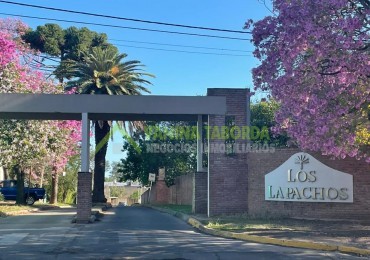 Loteo Los Lapachos, Zona Paracao