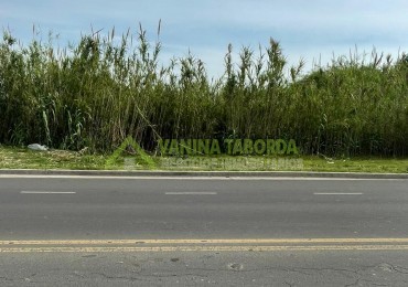 Gran terreno calle Miguel David